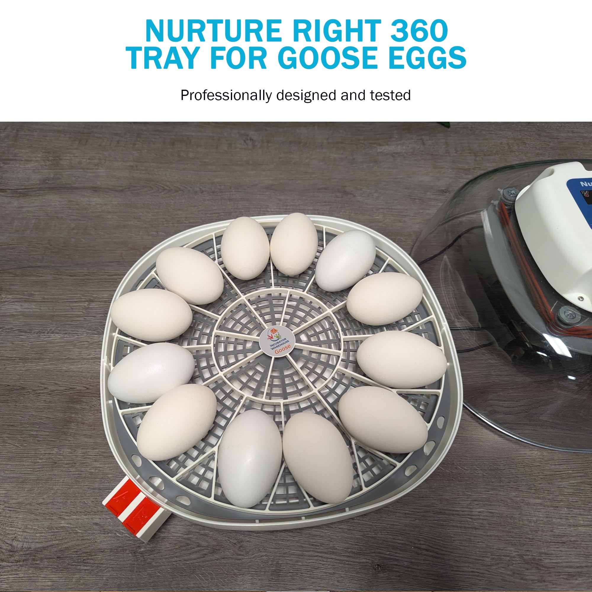 Incubator Warehouse hand-washable egg tray for easy hygiene after incubation sessions