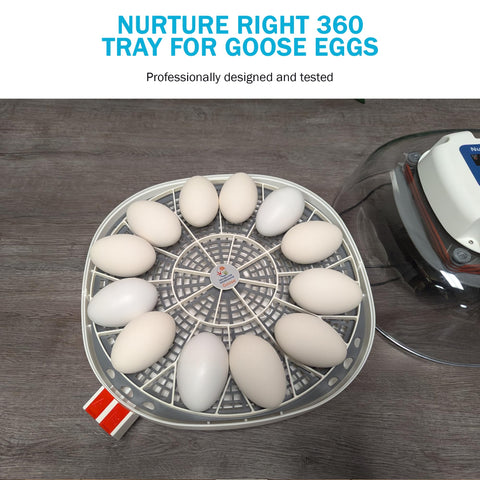 Incubator Warehouse hand-washable egg tray for easy hygiene after incubation sessions