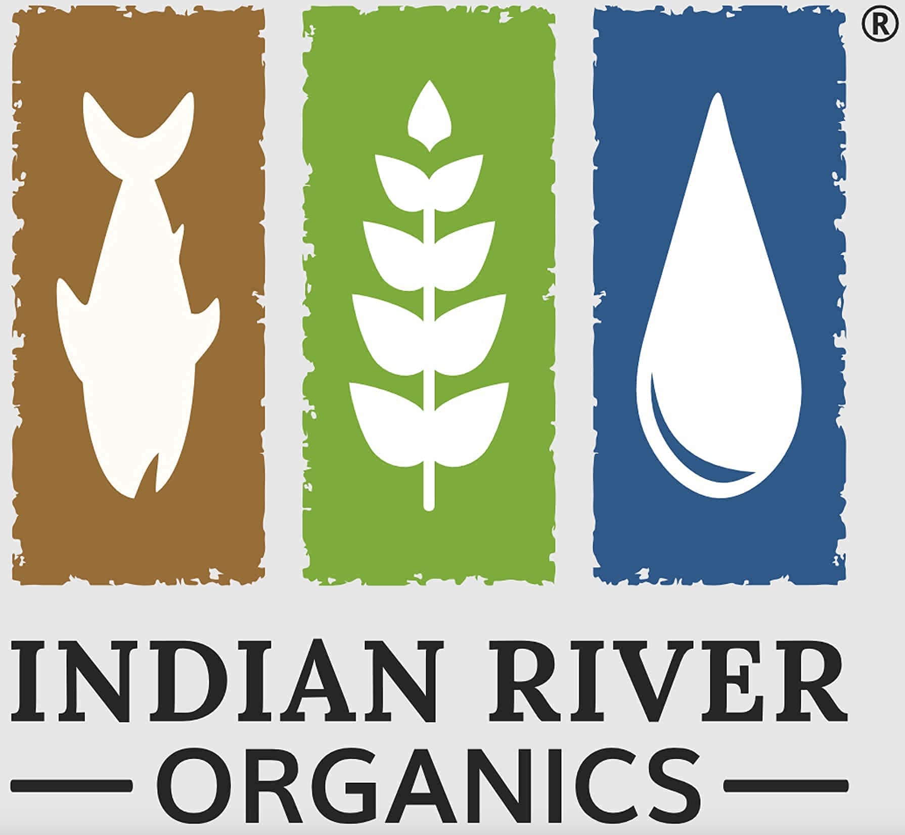 Healthy lawn with Indian River Organics Fish Plus Kelp for growth and resilience.