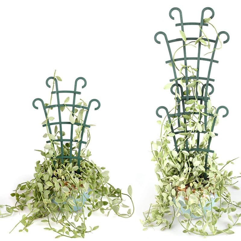 Stackable plant trellis enables vertical growth for ivy and hoya in pots.