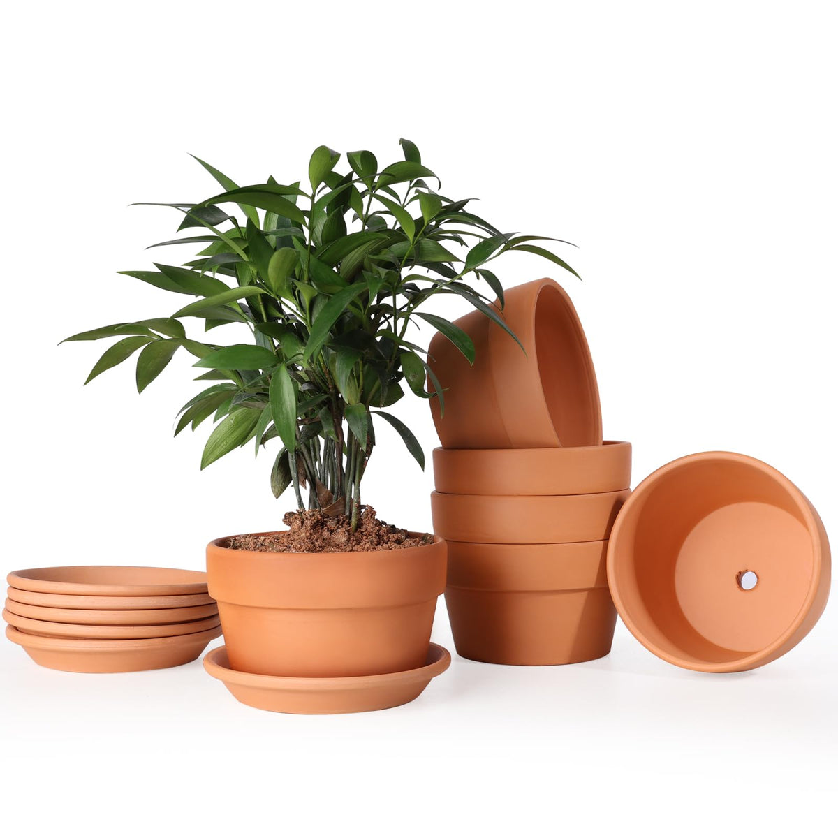 INGOFIN 5-inch terracotta pot with saucer for indoor and outdoor plants with drainage.