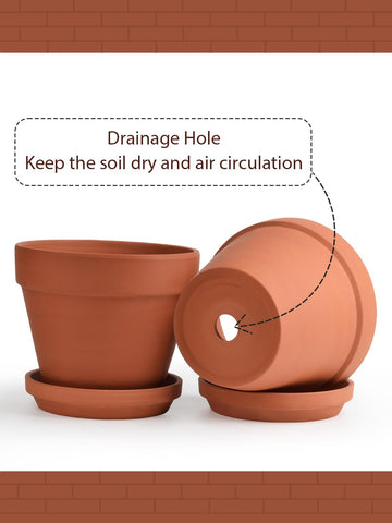 INGOFIN durable ceramic planter 8-inch supports herbs and succulents with reliable drainage.