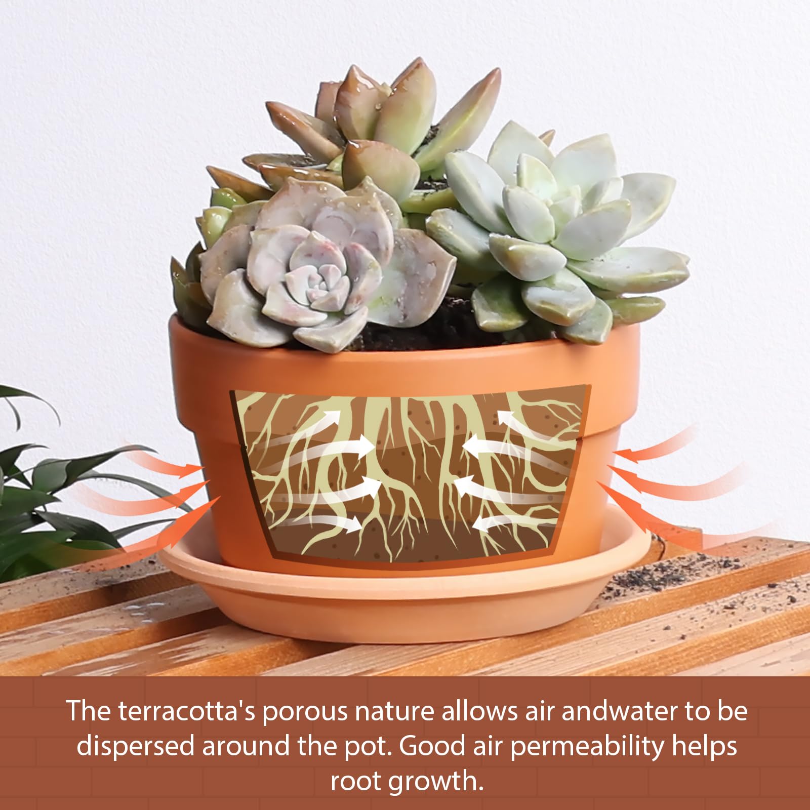 INGOFIN durable terracotta clay pots withstand sun and cold seasons.