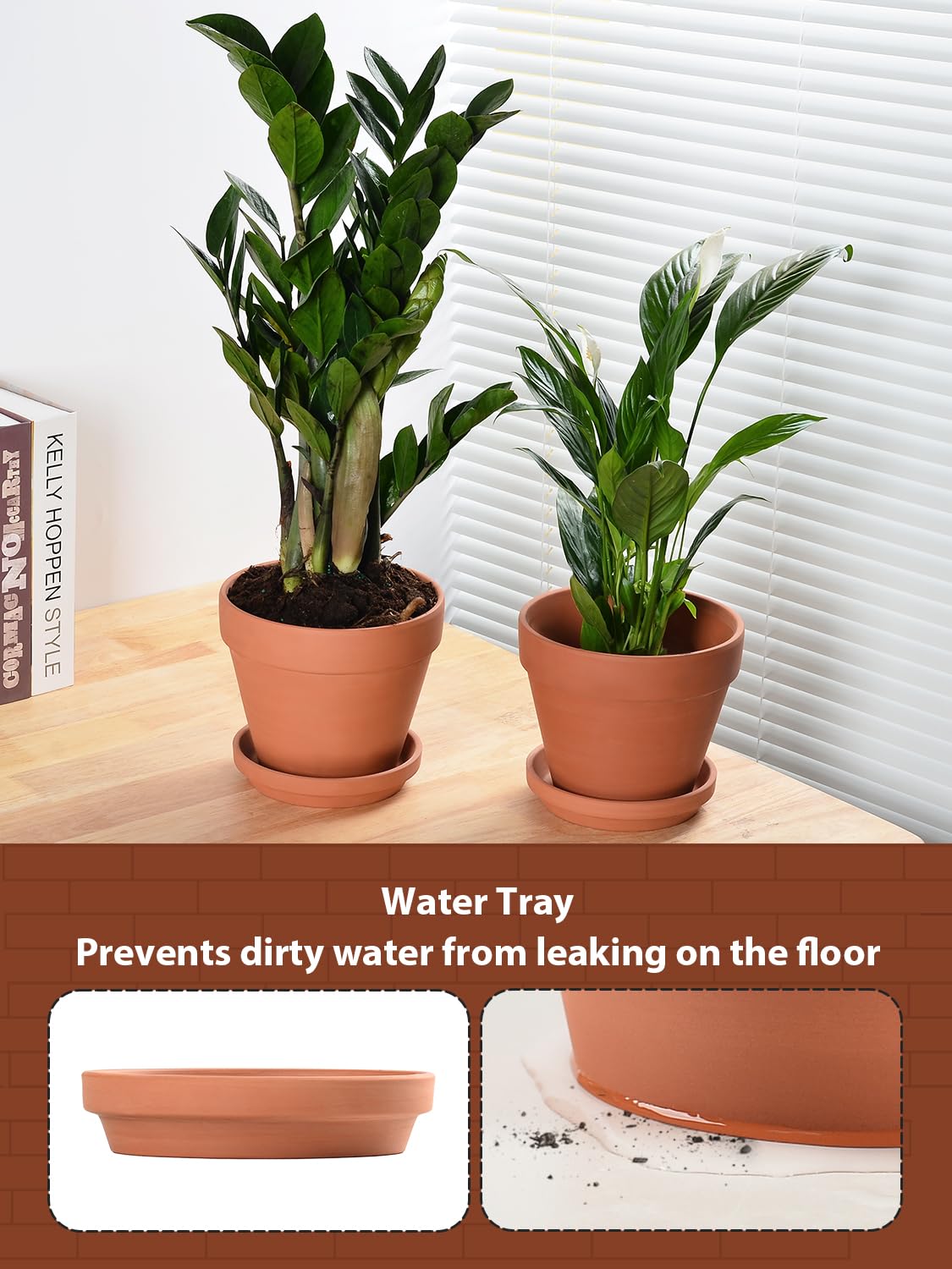 INGOFIN 8-inch pot helps dry soil and promotes root health for small plants.
