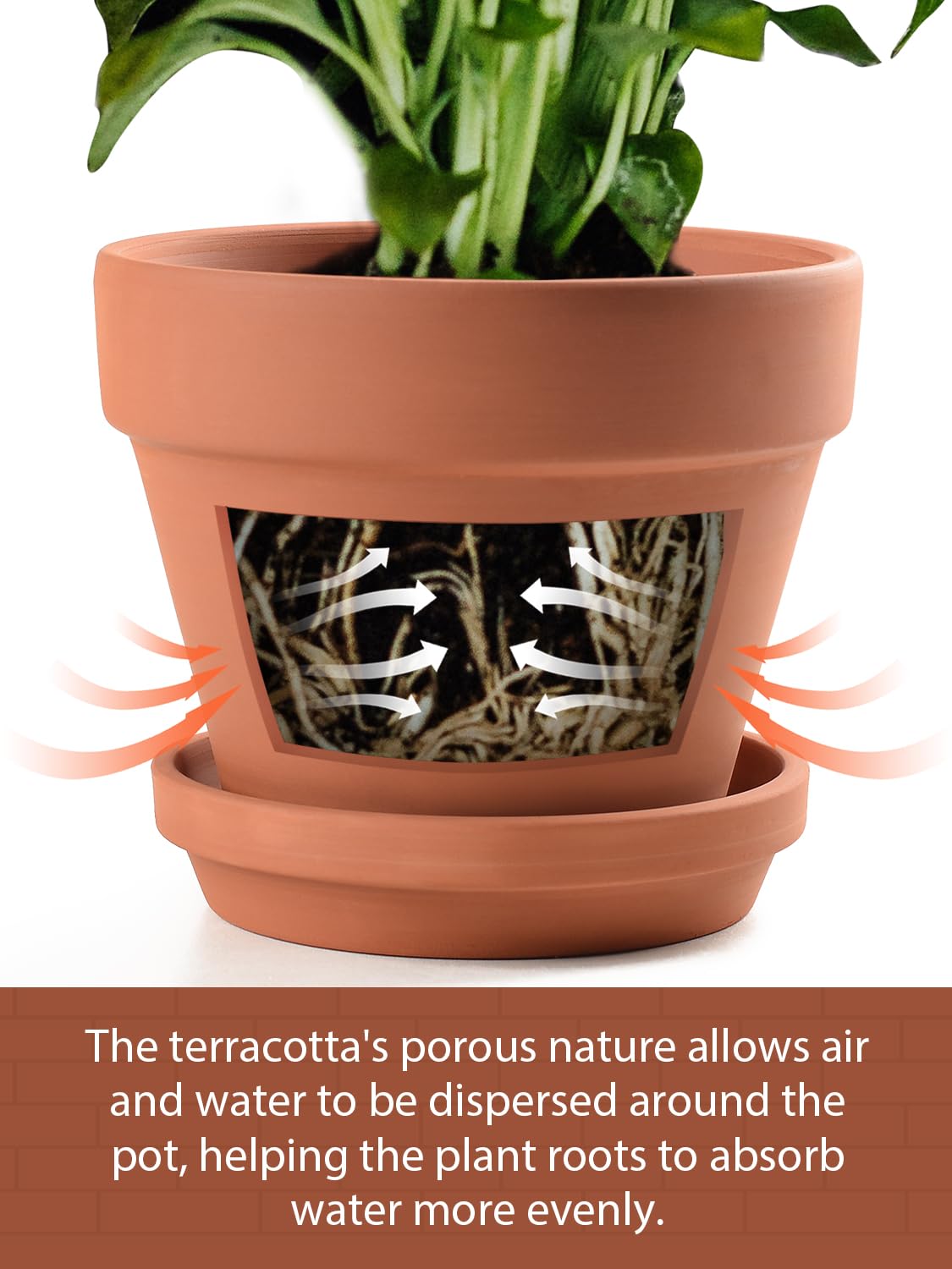 INGOFIN set of two terracotta pots ideal for indoor or outdoor garden displays.