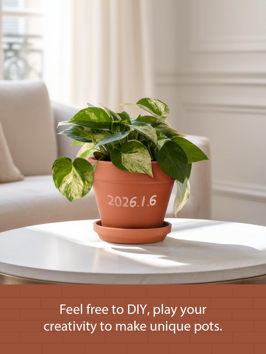 INGOFIN herb and succulent scenes thrive in terracotta pots with breathable clay.