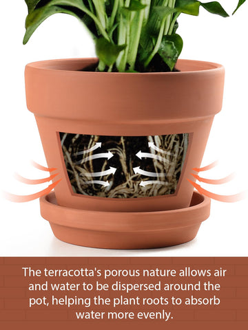 INGOFIN terracotta pot 7inch suitable for succulents and small blooms with drainage.