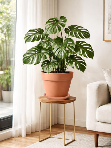 Bottom view of INGOFIN terracotta pot highlights sturdy construction.