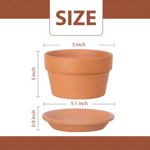 INGOFIN terracotta pot with drainage hole supports healthy root growth.