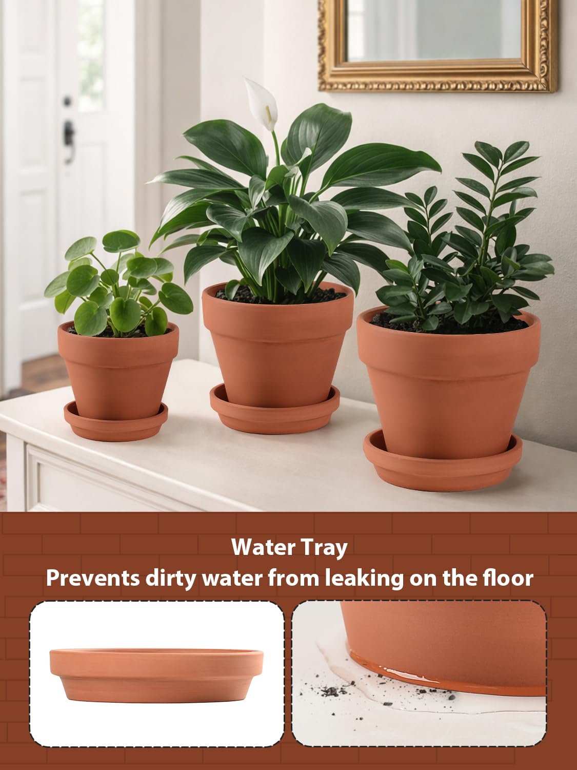 INGOFIN terracotta pot with drainage hole promoting airflow and dry soil.