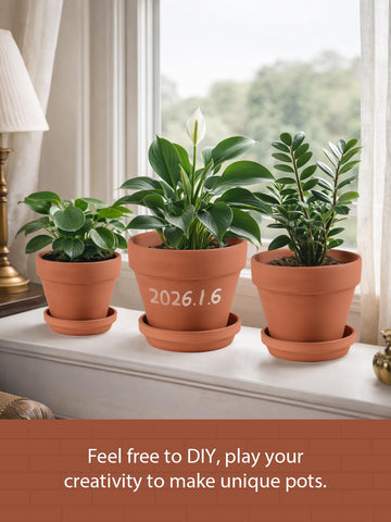 INGOFIN durable clay pot fired at high temperature for longevity.