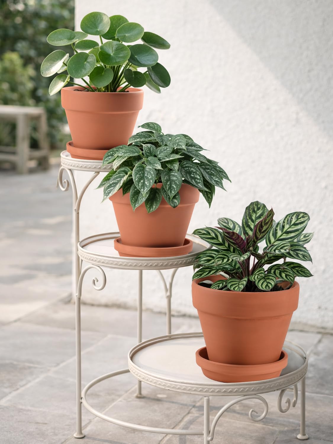 INGOFIN terracotta pot suitable for both indoor and outdoor use.