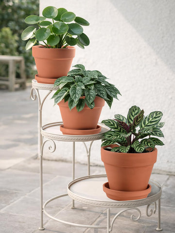 INGOFIN terracotta pot suitable for both indoor and outdoor use.