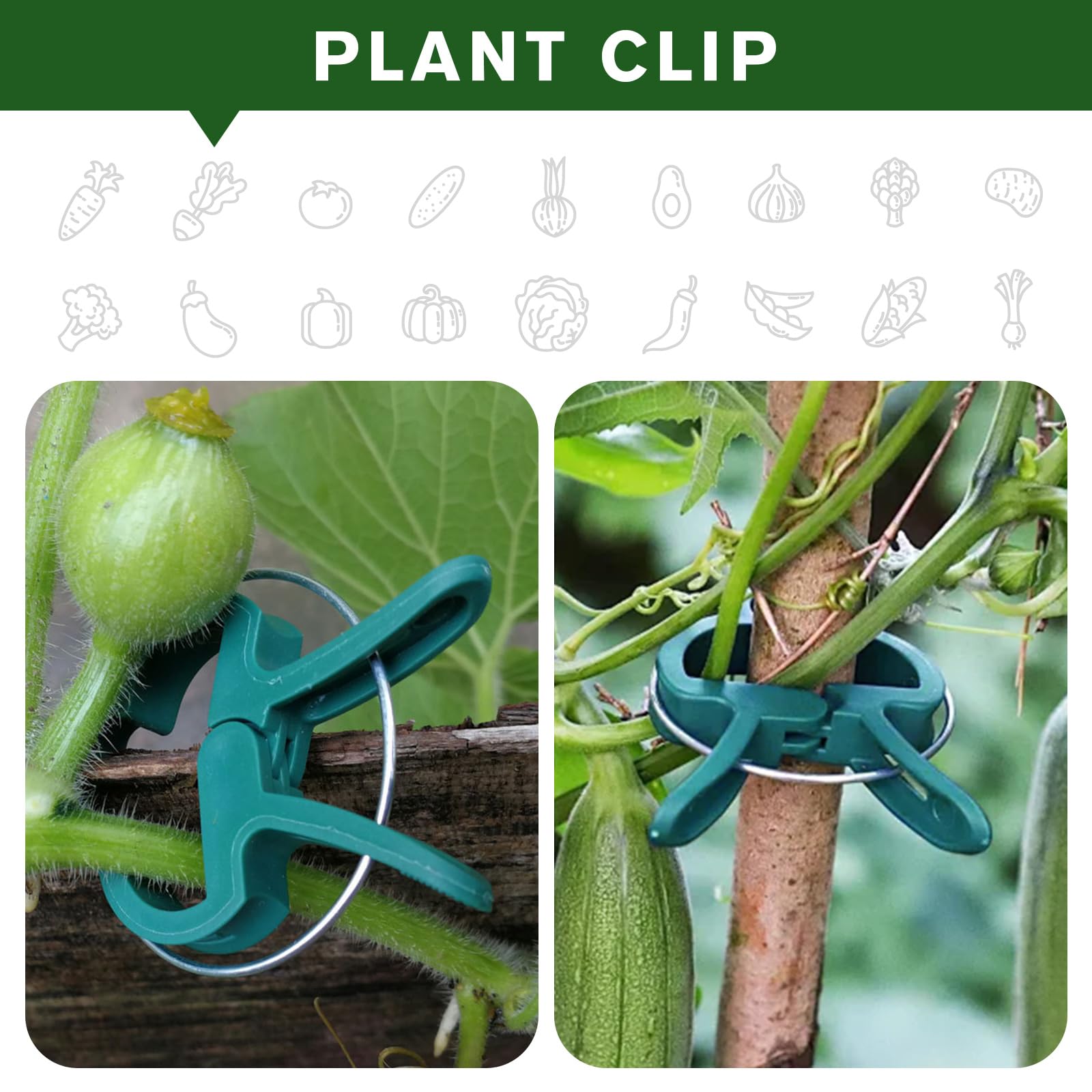 Iniscape clip-fit trellis showing easy integration with a garden support