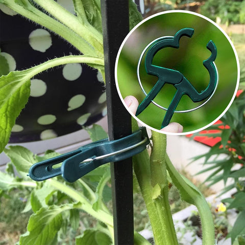 Iniscape weatherproof durability tested against wind and rain in a garden
