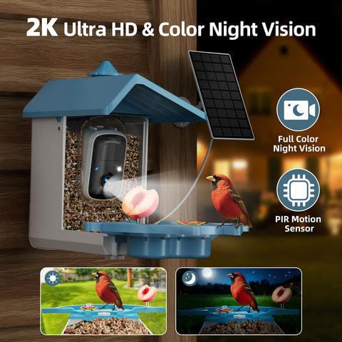 INKCKU 2K bird watching view captures crisp colors of backyard birds.