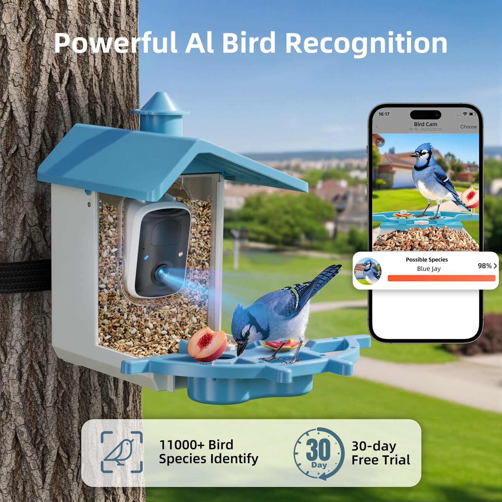 INKCKU AI Bird Recognition identifies species as birds visit the feeder.