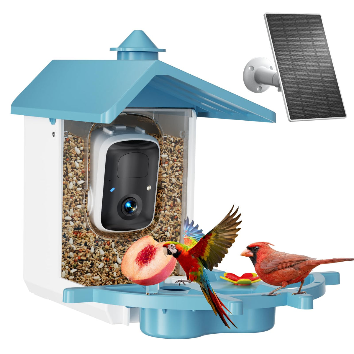 INKCKU Bird Feeder Camera Outdoor records vivid garden visitors with clear day footage.