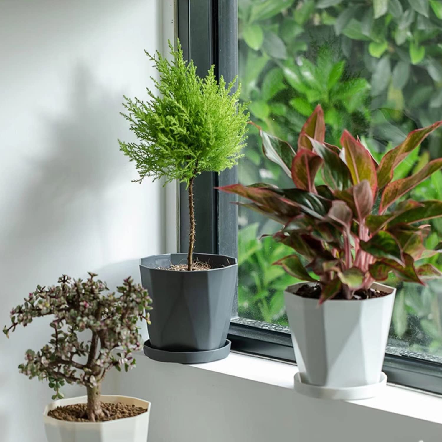 InmeRun 5-inch pot with drainage holes and bottom design to manage moisture.