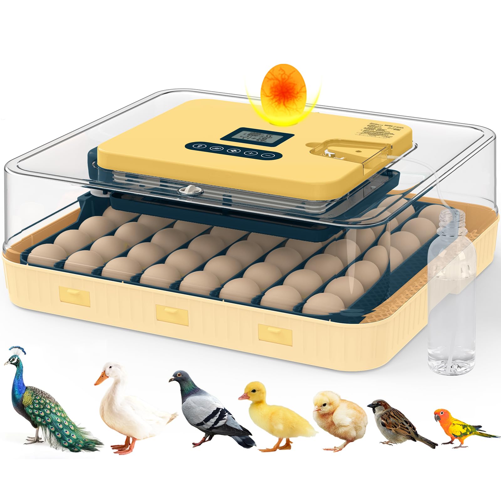 innhom 56-egg incubator front view: ideal for classrooms and farms with compact, reliable operation.