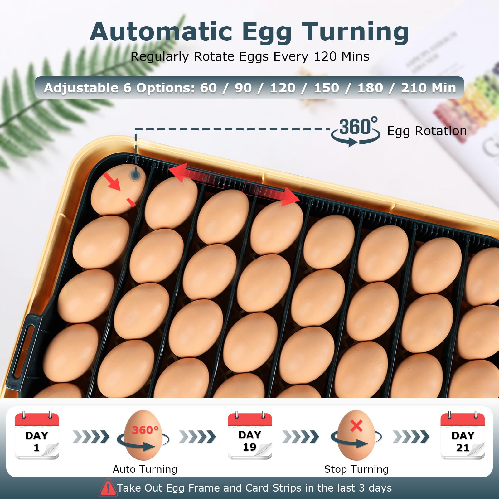 innhom egg divider drawer: adjustable dividers for different egg types.