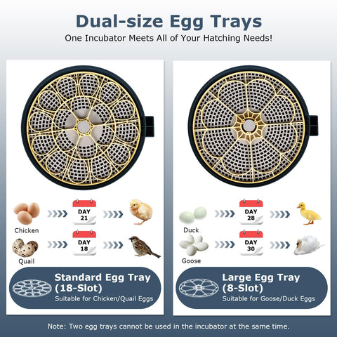 InnHom humidity alarm helps maintain stable moisture for a better hatch environment.