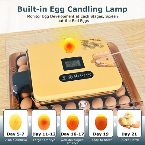 innhom multi-species incubator: suitable for chicken, duck, goose, and more eggs.