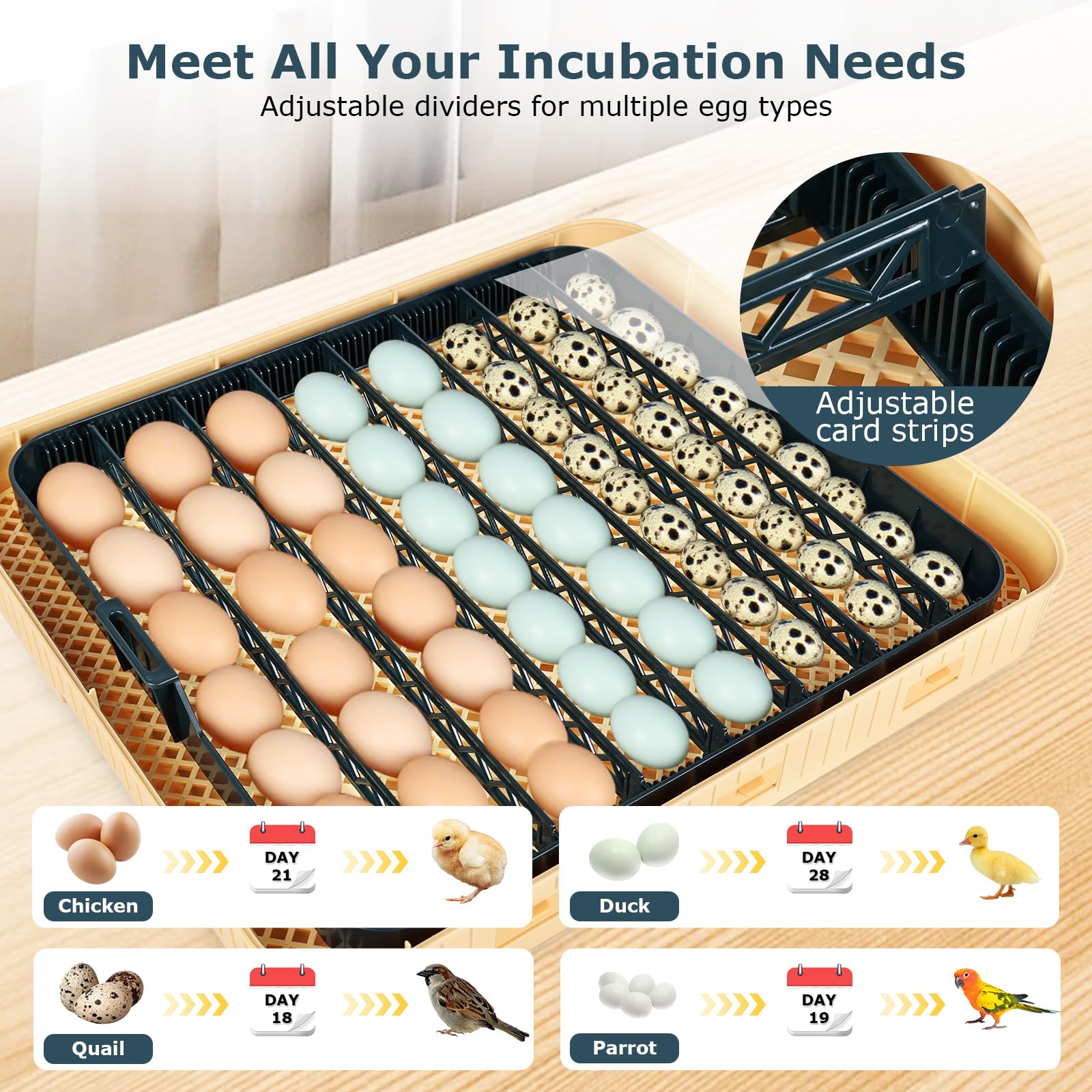 innhom temp-humidity control panel: precise settings for stable incubation conditions.