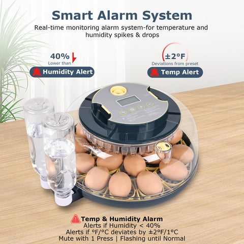 InnHom temp and humidity display ensures stable incubation conditions.