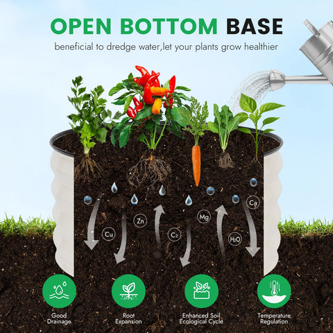 INNO STAGE flowers blooming in raised bed