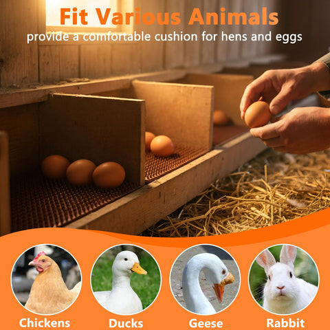 INNOLAND nesting pads improve egg visibility and collection