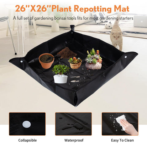 Inntop leaf cutters set for precise bonsai trimming and succulent detailing.