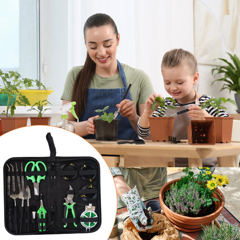 Inntop succulent tools set ideal for small plants, cacti, and bonsai under glass.