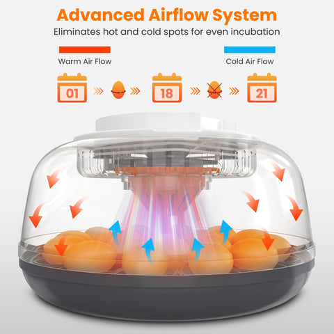 Innvello 18-egg incubator external water bottles for easy humidity management.
