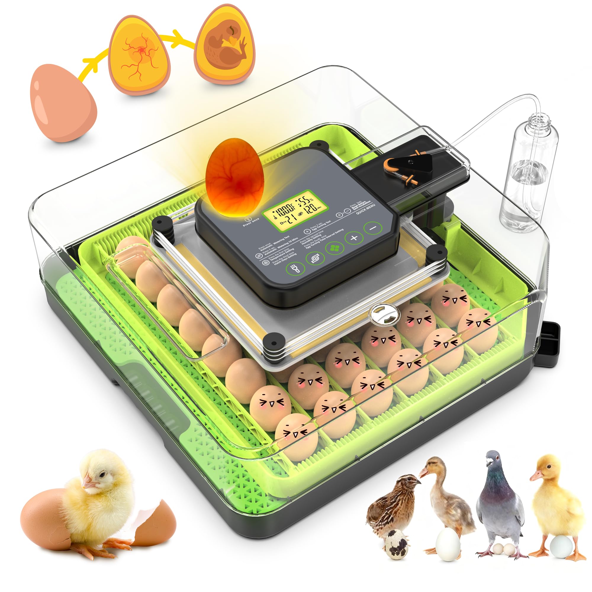 Innvello 48-egg incubator exterior water refill design maintains stable humidity for consistent hatching.
