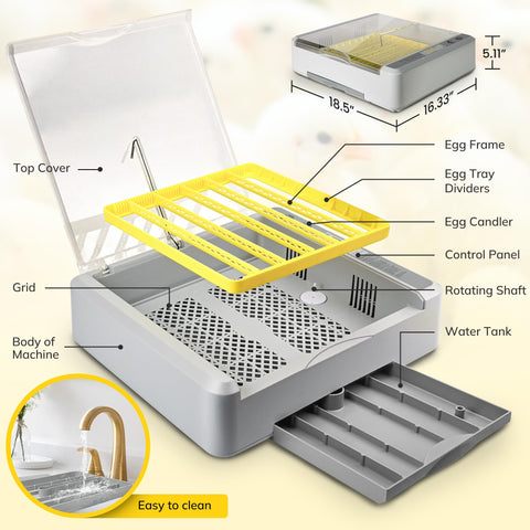 Innvello adjustable frame with eight sticks fits various egg sizes.