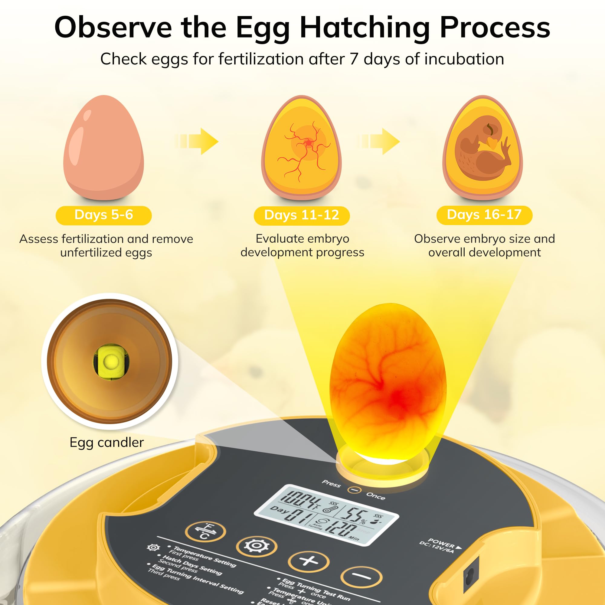 Innvello egg candler helps monitor embryo progress