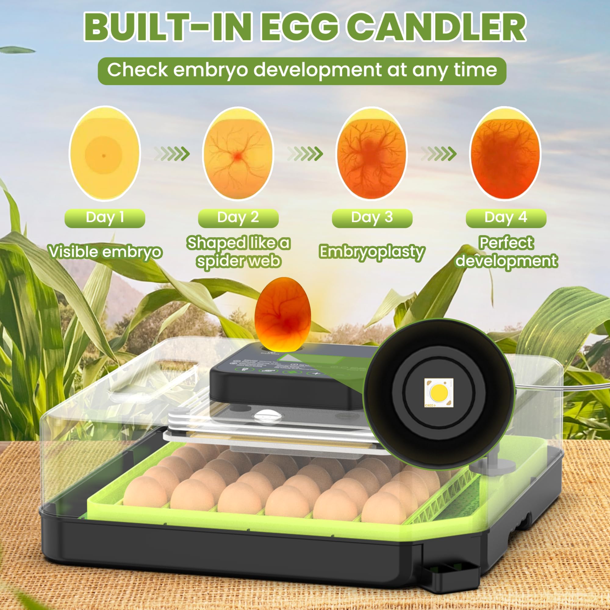 Innvello adjustable egg trays fit chicken, duck, and quail eggs for flexible setups.