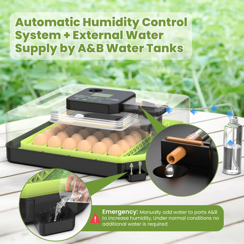 Innvello automatic turning system gently rotates eggs to support healthy development.