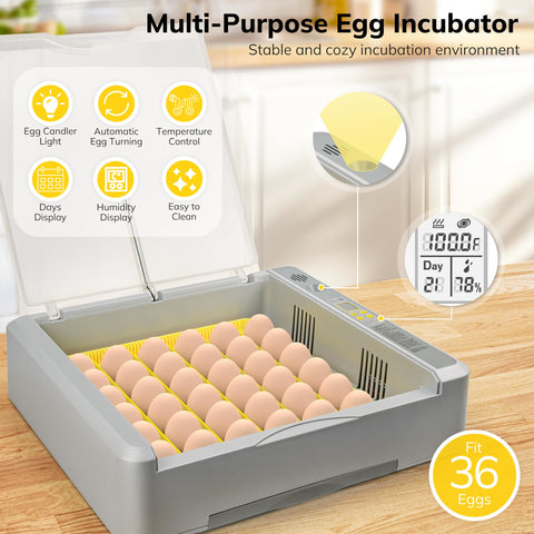 Close-up of Innvello egg turning system showing automatic rotation.