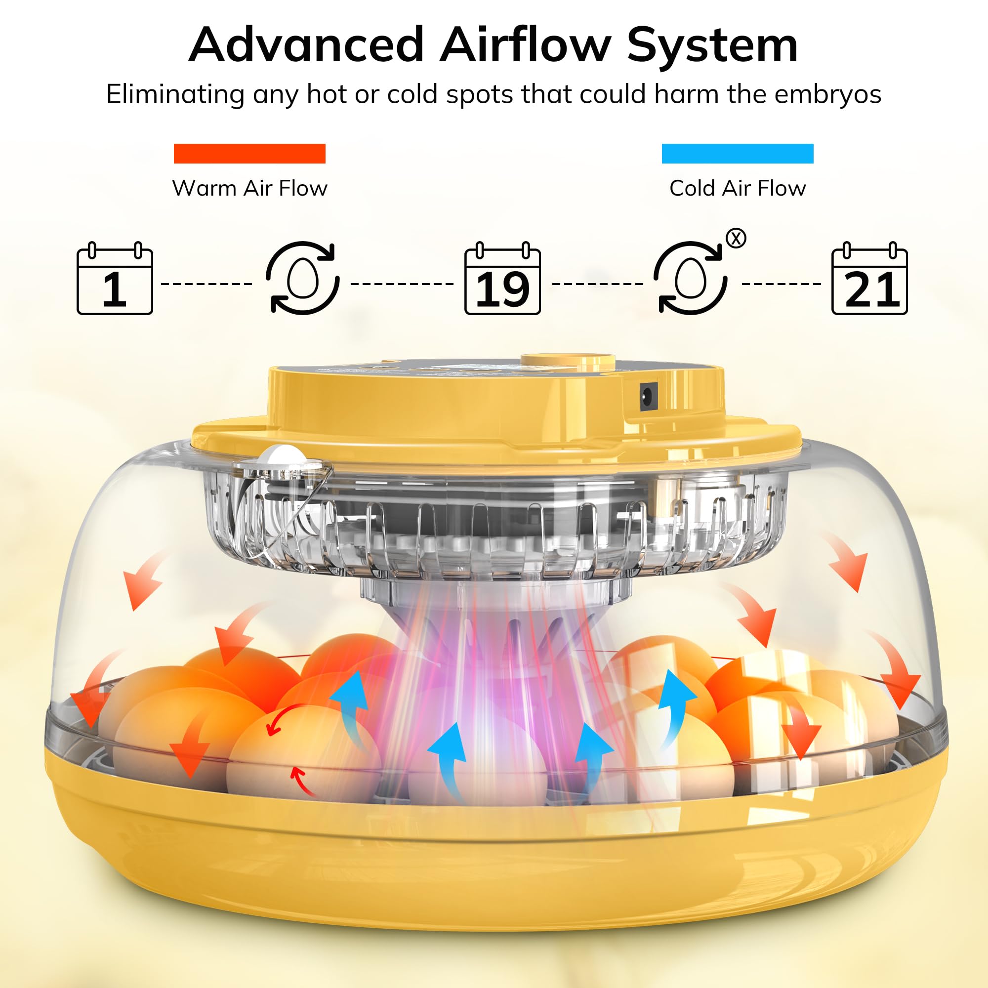 Innvello incubator with external water bottles maintains stable humidity