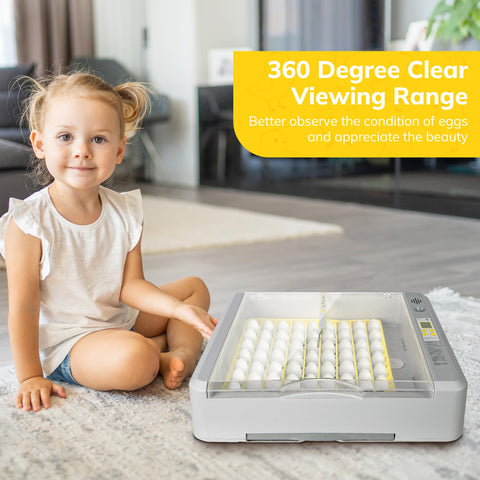 Innvello intelligent alarm system alerts temperature or humidity changes.