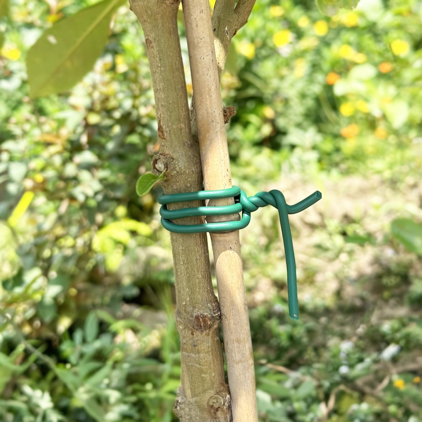 Inomical plant-support-stakes-lattice used to guide vines without damage.