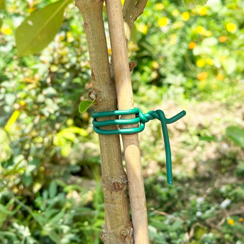 Inomical plant-support-stakes-lattice used to guide vines without damage.