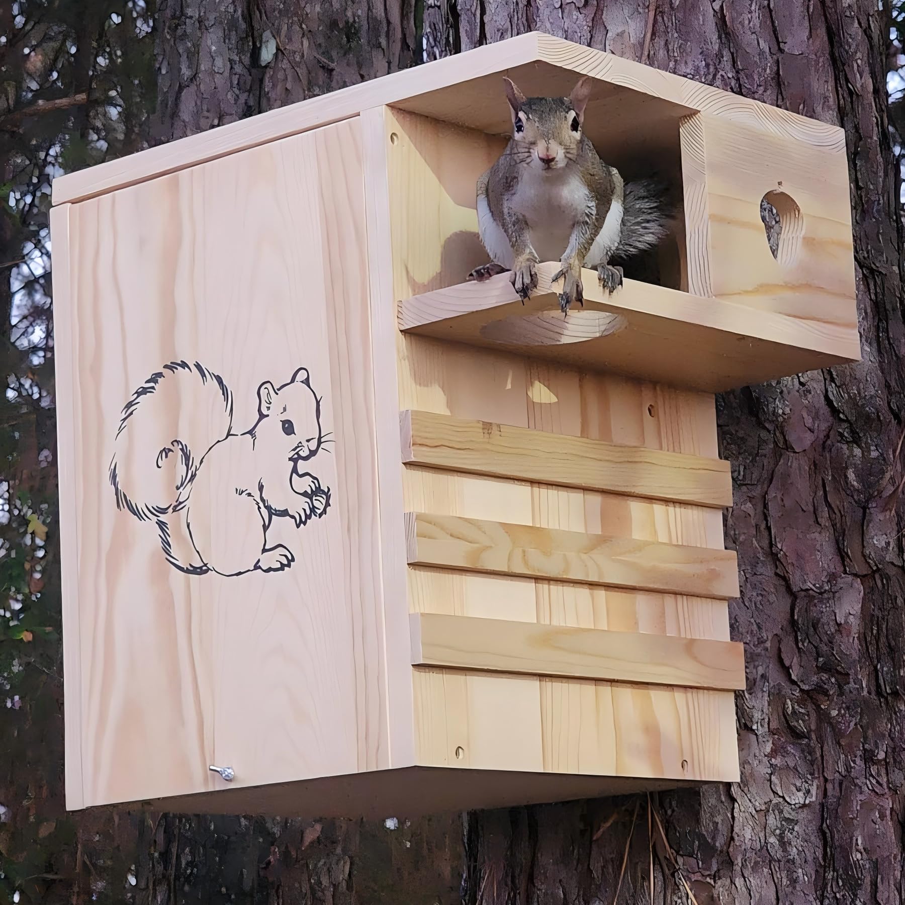 INRLKIT outdoor nesting box inviting family-friendly wildlife visits
