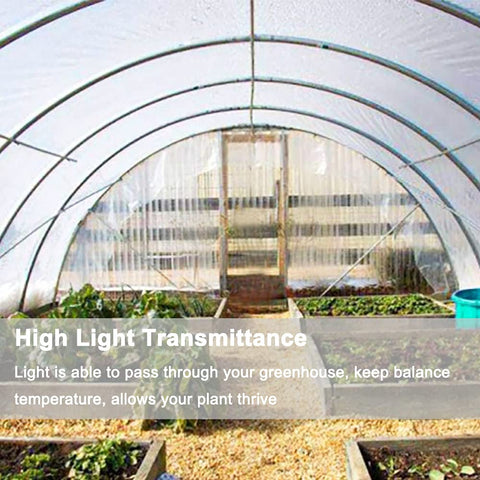 Inslat greenhouse film demonstrates light transmission for even daylight on plants.