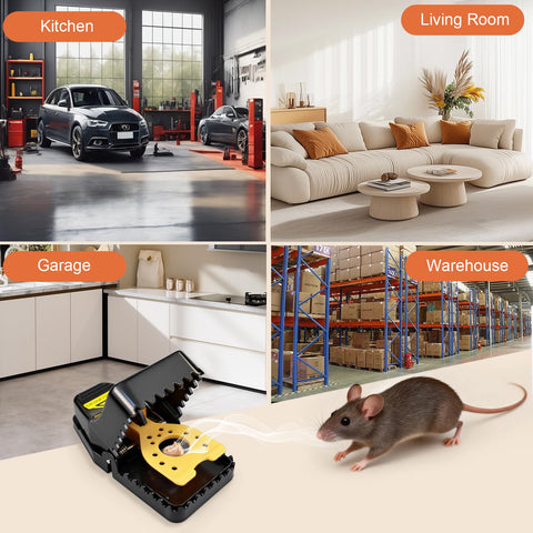 Insoma versatile mouse traps for various rooms and outside areas