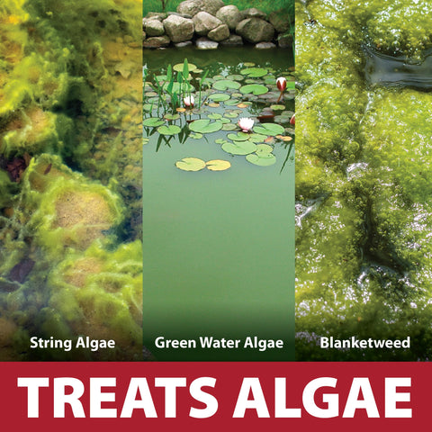 InstaFix Algae Control green-water treatment for small ponds improves clarity
