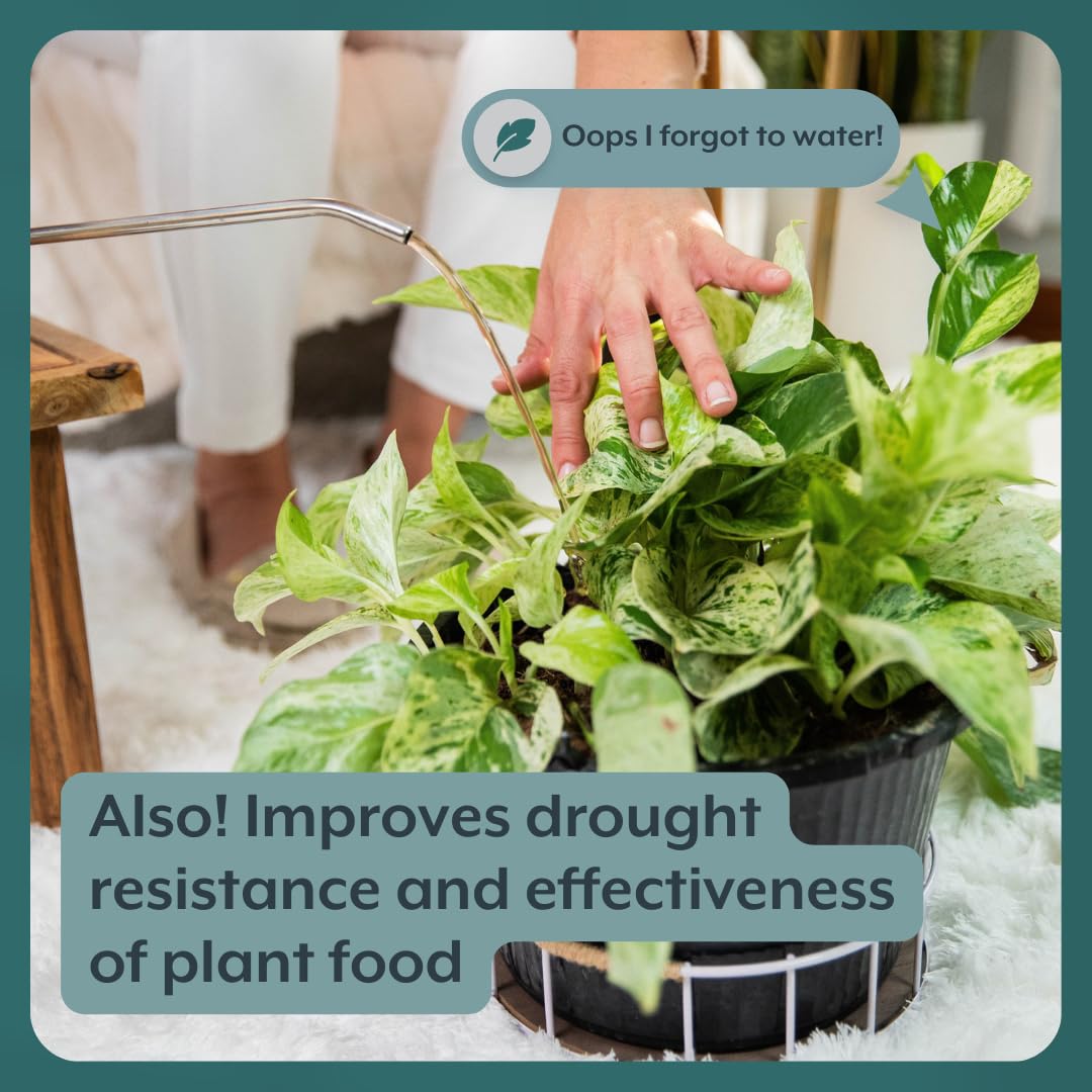 Lush leaves and thriving growth with Instant Plant Support.