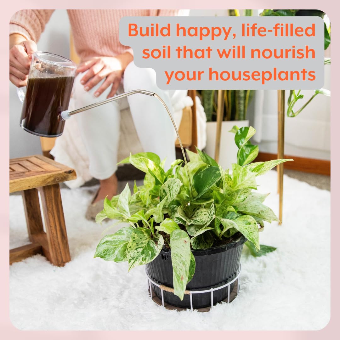 Instant Biologics promotes healthy indoor plant root growth.